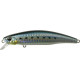 Tide Minnow 75 S