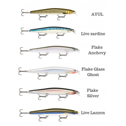 Leurre dur Long Range Minnow