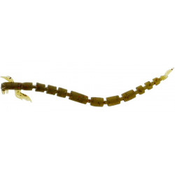 Bloodteez Worm