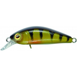 Chubby Minnow 35 Sp