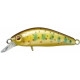 Chubby Minnow 35 Sp