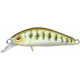 Chubby Minnow 35 Sp