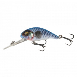 3D Goby Crank PHP