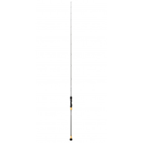 Saltiga Slow Jigging