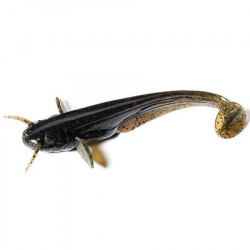 Catfish 2&quot;