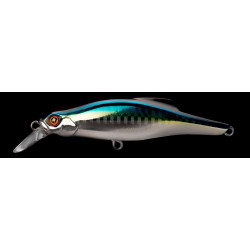 Pintail 20