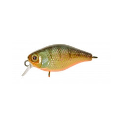 Deep Diving Chubby 38