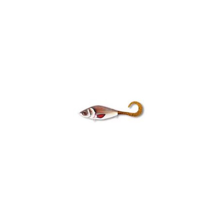 Cwc Guppie Jr Shallow