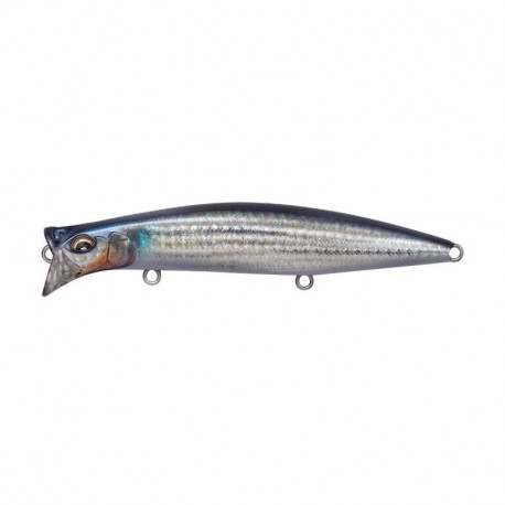 Kirinji 120