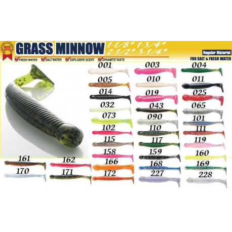 Grass Minnow