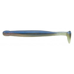 Grass Minnow