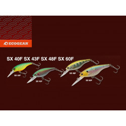 Premium SX