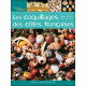 les coquillages des cotes francaises