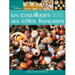 les coquillages des cotes francaises