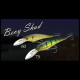 Bevy Shad 75 sp