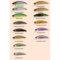 Phoxy Minnow