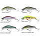 Tournament Wise Minnow 50 HR