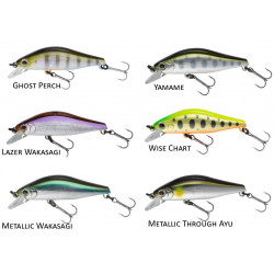 Tournament Wise Minnow 50 HR