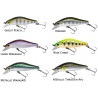 Tournament Wise Minnow 50 HR