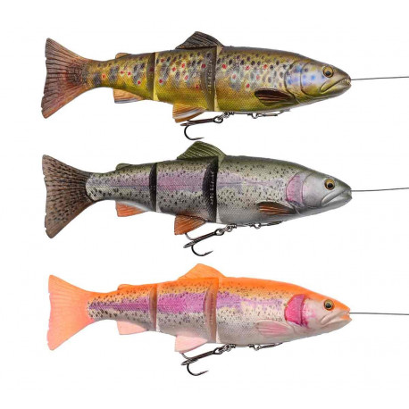 4D Line thru trout