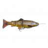 4D Line thru trout
